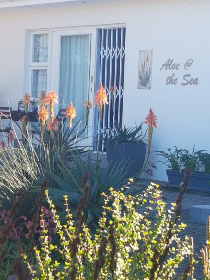 Aloe @ The Sea Apartment Mossel Bay Exterior photo